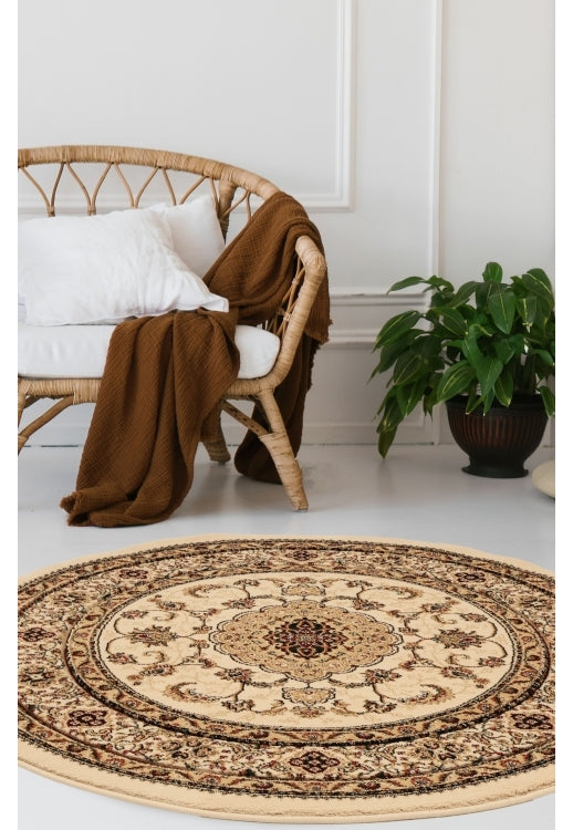 Traditional Beige and Brown Area Rug