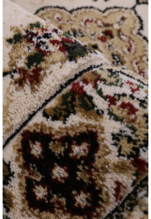 Traditional Beige and Brown Area Rug