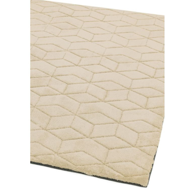 Cozy Beige